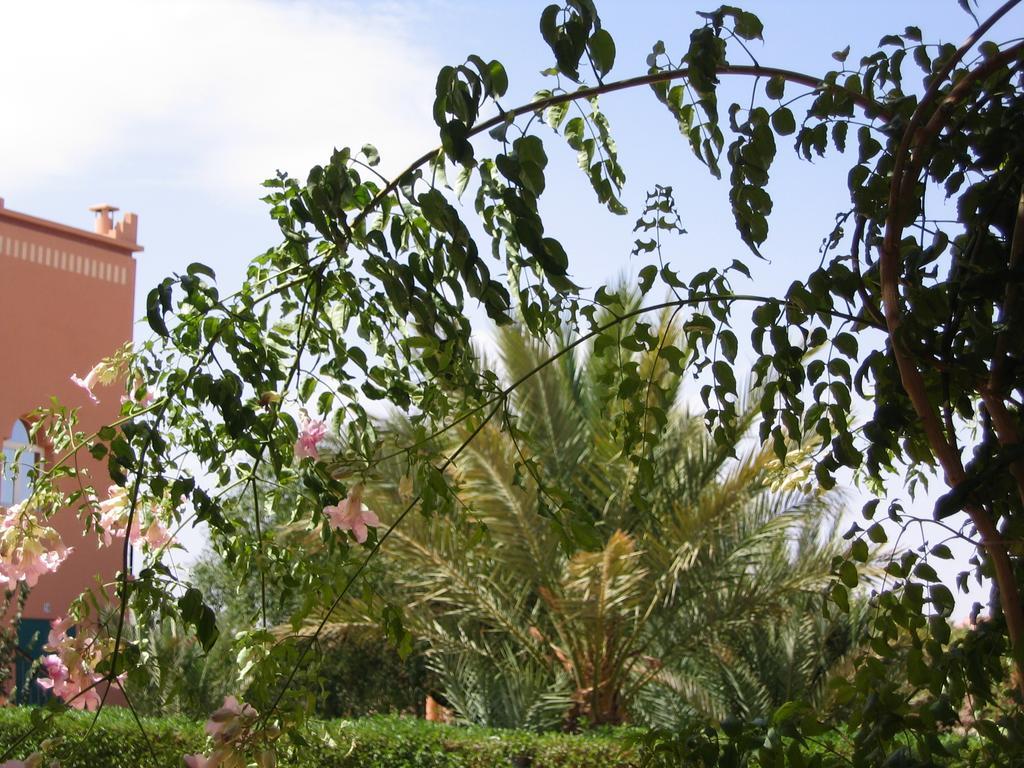 Les Tourmalines Bed and Breakfast Afeggou Εξωτερικό φωτογραφία