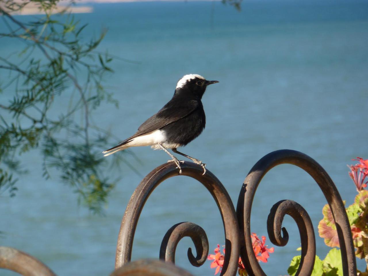 Les Tourmalines Bed and Breakfast Afeggou Εξωτερικό φωτογραφία
